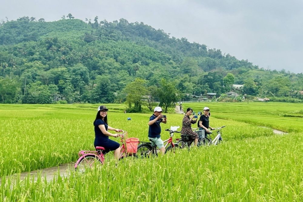 Explorer le delta à vélo
